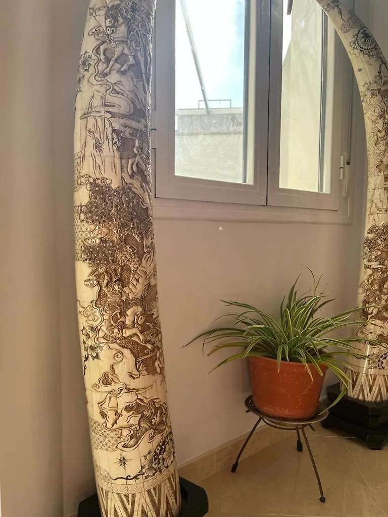 Alyana Hostel Cordoba Spain